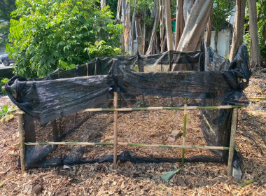 Big Cleaning Day ครั้งที่ 1 พารามิเตอร์รูปภาพ 10